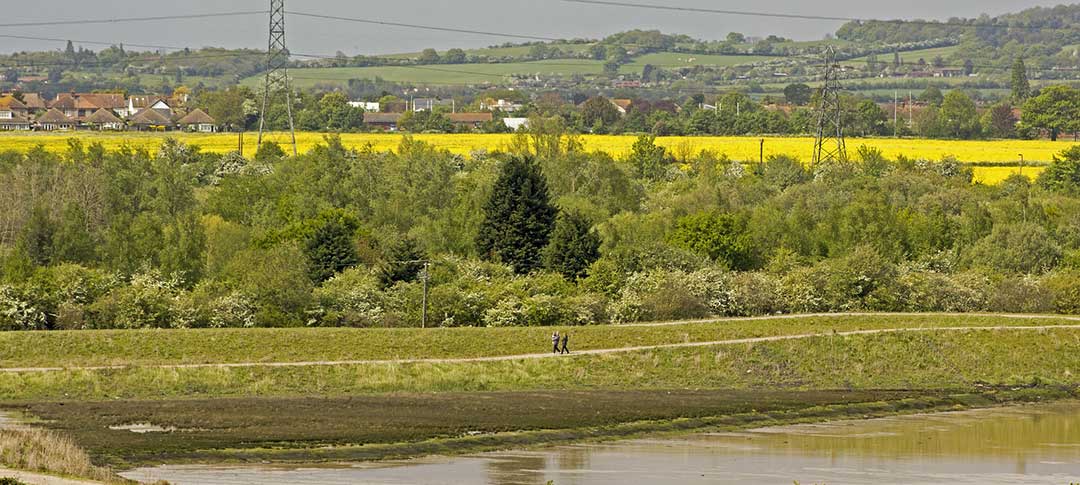 View across Chelmsford countryside with lake in foreground